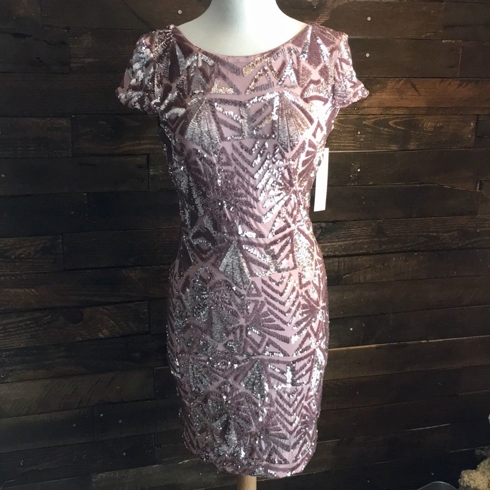 Dress the Population Pink Blush Sequin Dress- NWT